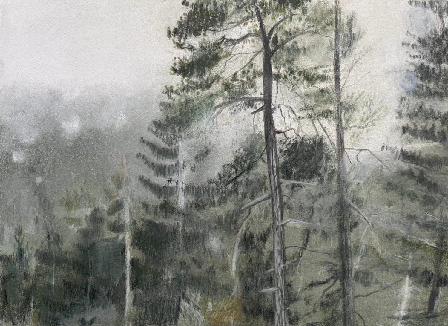 Marly Hendricks, Raindrops, pencil and pastel on paper, 19,5 x 26,5 cm