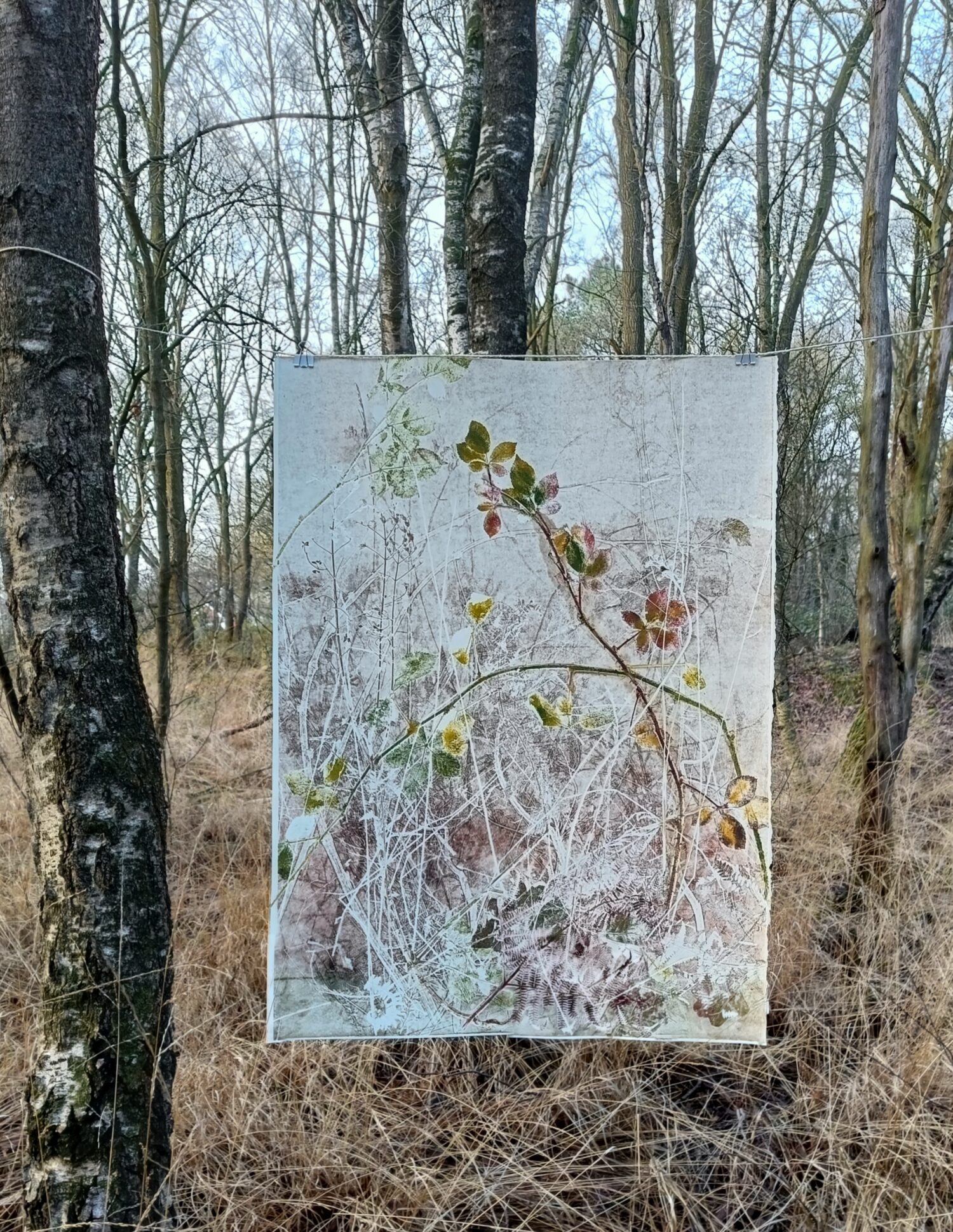 Etsinkt op 350 grams Hahnemuller papier