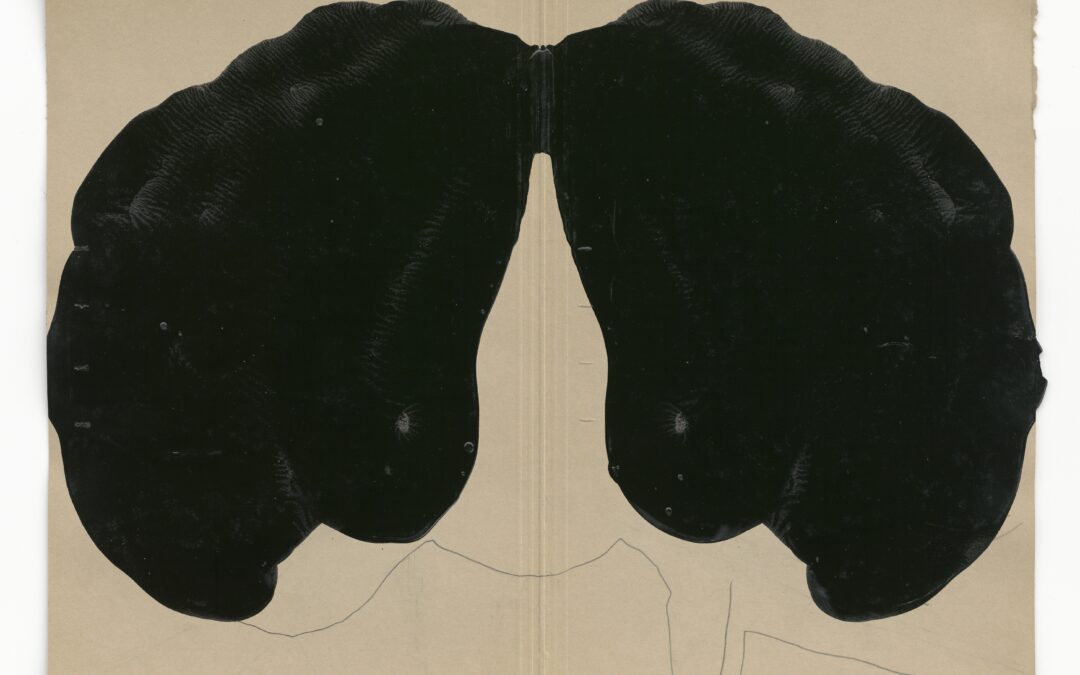 Settantotto Art Gallery (BE)