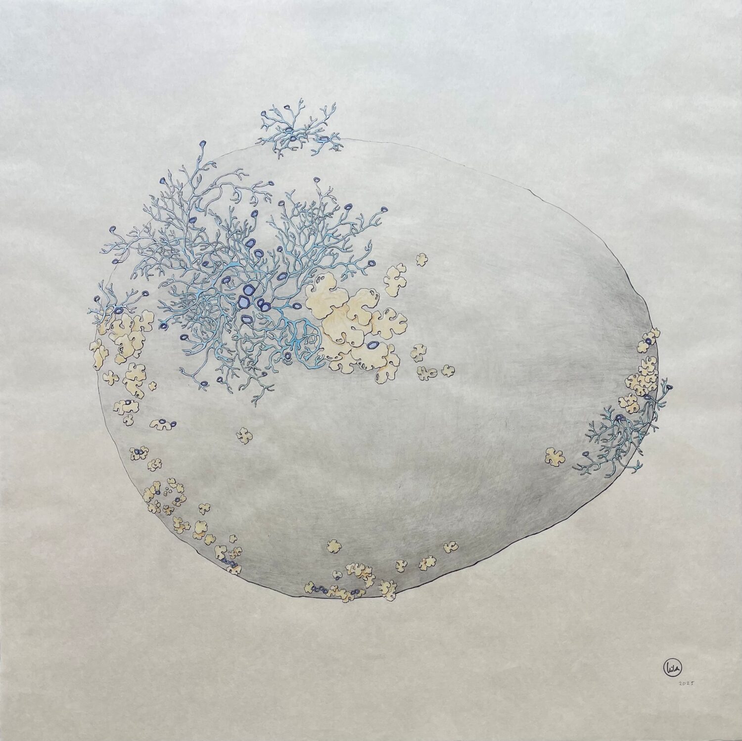  Symbiosis III (2025), 61x61 cm, mixed media op Japans papier, € 1650,-