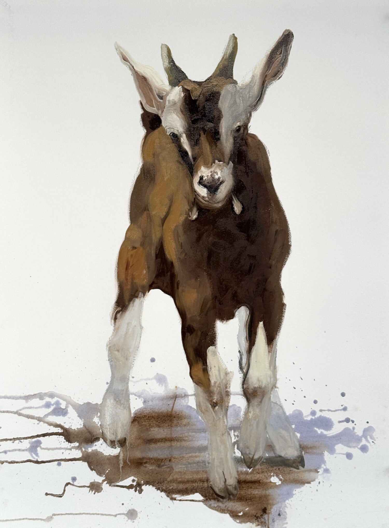 Toggenburg kid (2025); Oil on paper; 75x56cm