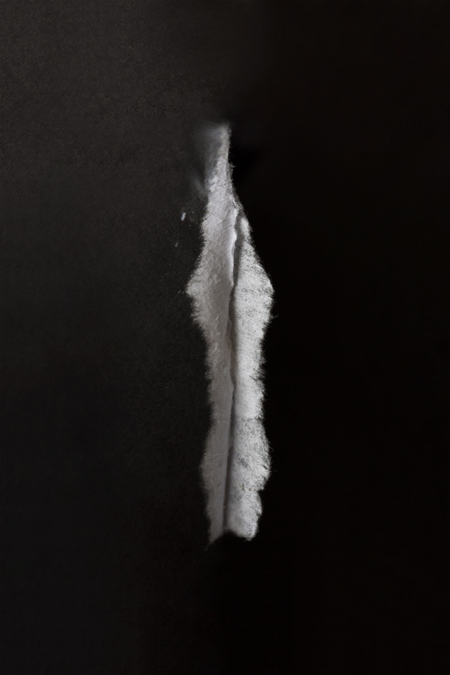 Penthesilea III-X-V Unbearably Close (2025), Photosculpture