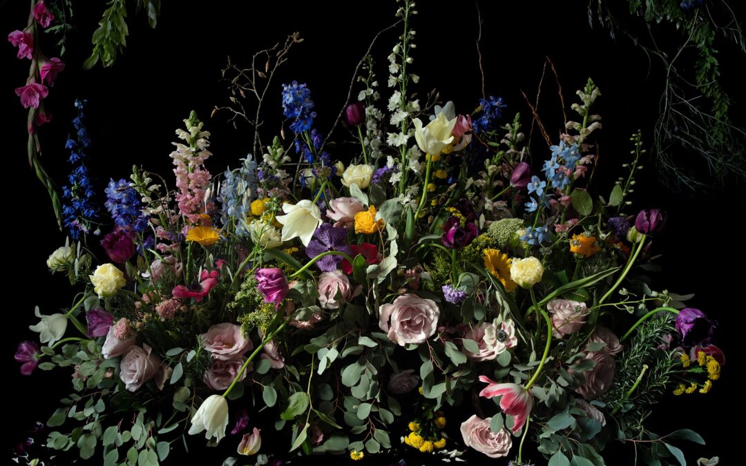 Galerie Ricarda Fox (DE)