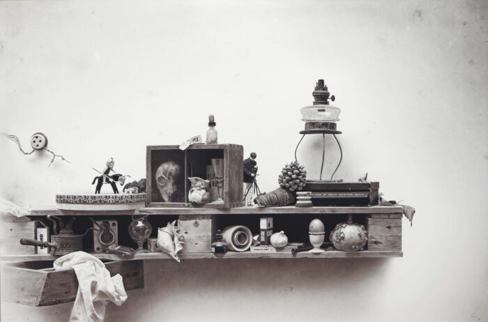 Stilleven met Kalebas (2020); Potlood, grafiet en gemengde techniek/karton; 97 x 146 cm