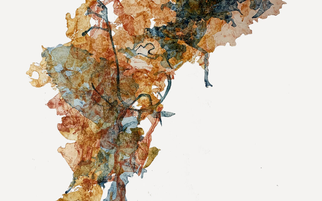 Galleria Barbara Paci (IT)