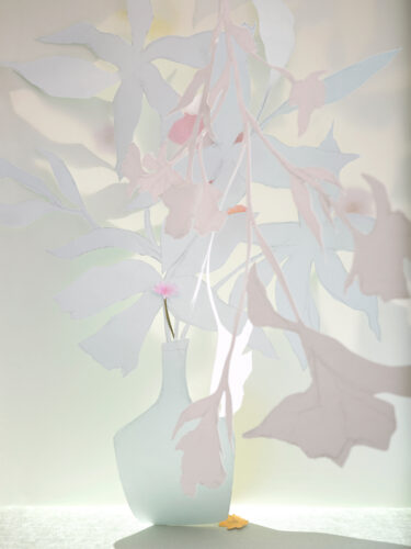 Spring; papiercollage/fotografie; 86 x 107 x 5cm