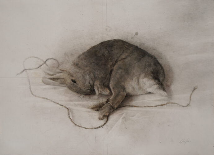 Rabbit (2021); Graphite, watercolor, and rabbit-skin glue on paper; 600 x 435 mm