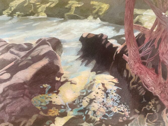 Micro CIV (2024); kleurpotlood; 28,5 x 39 cm