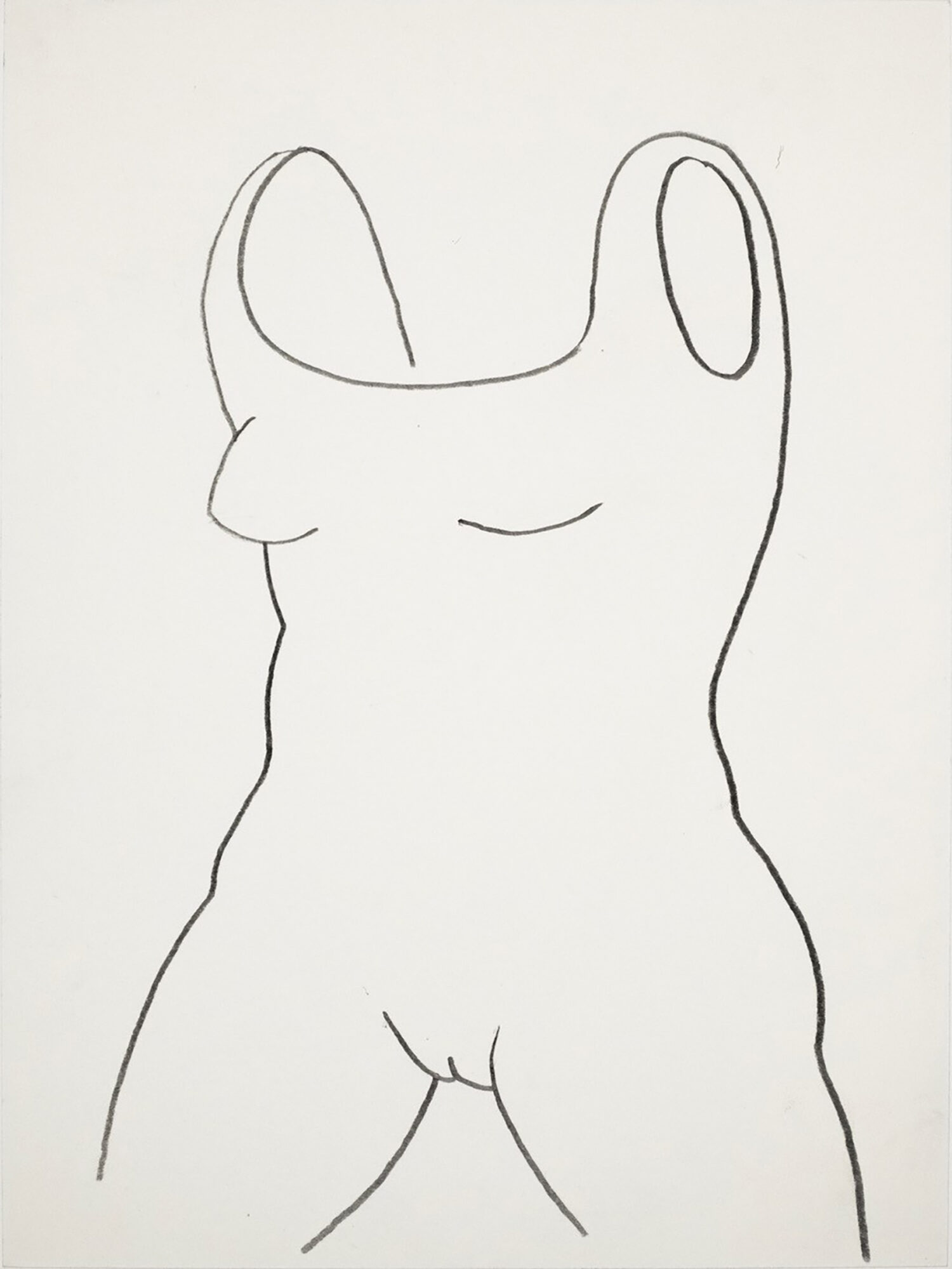 SUIT, Rembrandt Ballett, 2014, Graphite on Paper, 40x30cm
