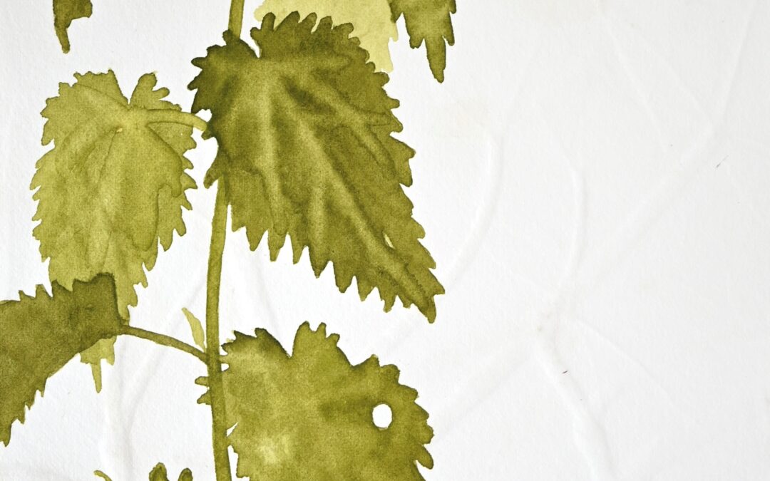 Galerie Artline (NL)