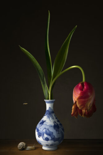 Untitled (#168) (2022); Archival pigment print on Fine Art Baryta paper, mounted behind plexiglass; 30x20cm; Edition of 30